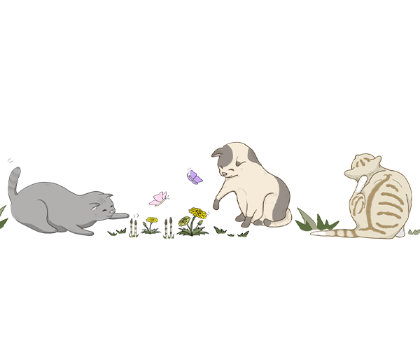 制作イラスト画像